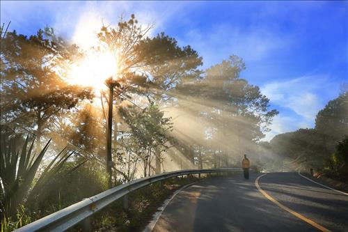 Một bạn nữ Đà Lạt –
Thật lòng yêu thương chăm …..