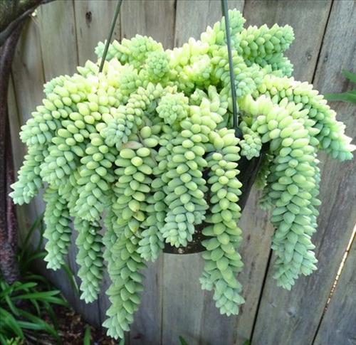 Yêu thương! –
Chân thành, nghiêm túc để …..