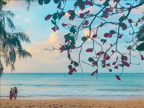 Ngoc Trang –
Có suy nghĩ nghiêm túc.      …..