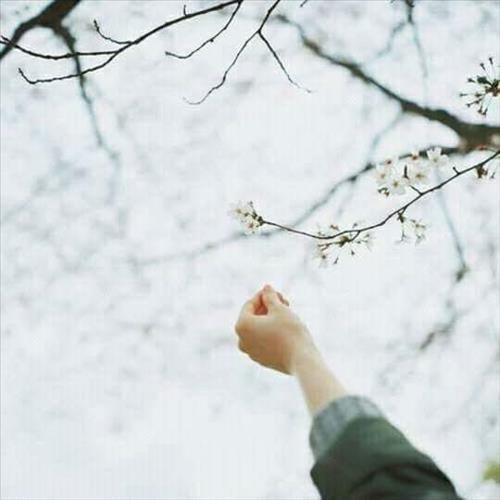 ngọc –
Hiền lành, sống nội tâm. …..