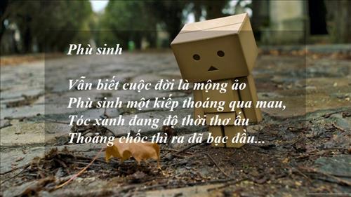 Mai –
Cần một người hiểu..!   …..