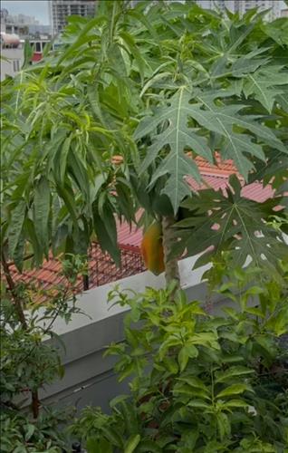 Nguyen –
Tìm bạn 40t trở lên không …..