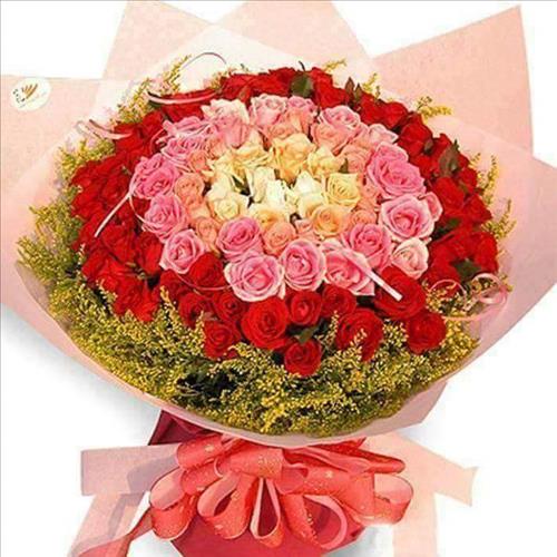 Kim Dung –
Tình cảm, yêu gd