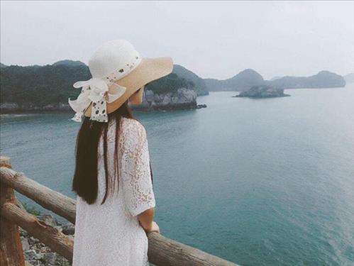 minhtue1177 –
Hành trình đi tìm tình yêu…..