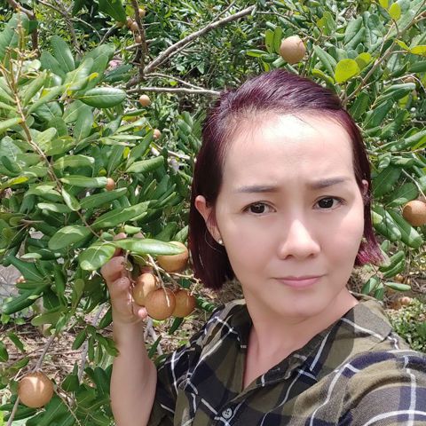 Loan – Mọi thứ về tôi rất bình t…..dối trá