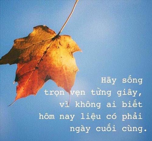 Lyly –
Bạn tốt