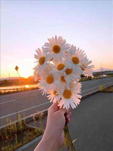 Anh hiền –
Hơn tuổi hỗ trợ về kinh …..