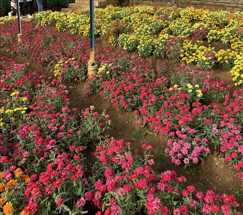 TA –
Chung thủy, nghiêm túc trong …..