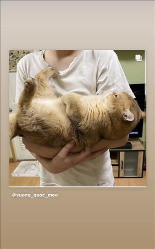 Khánh Như –
Tìm bạn tám chuyện cho vui …..