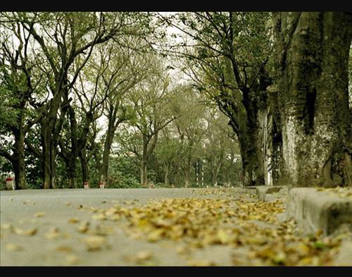 H.T –
Không biết nói j. Thứ mình…..