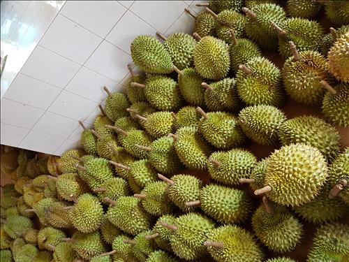 Saurieng –
Đàn ông có kinh nghiệm về…..