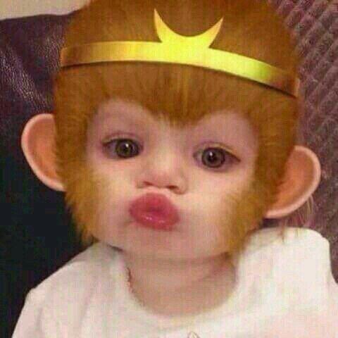 Hoàng Thuỳ –
Một người chín chắn, nghi…..