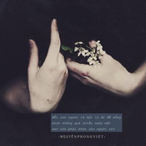 Mùa gió cũ  –
Chân thành, biết cảm thông…..