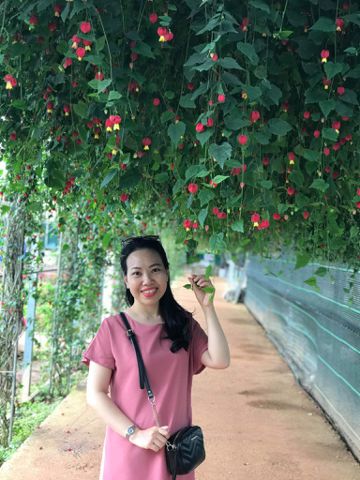 Sẽ nói sau – Sẽ nói sau