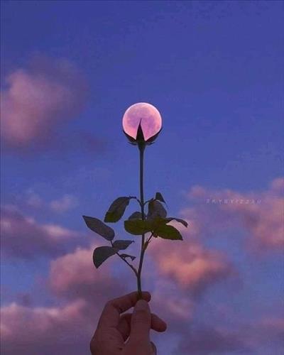 Trần Thu Hà –
Người có lí trí.           …..