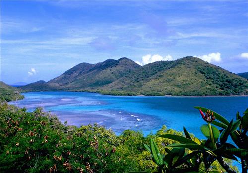 Jenny –
Bạn đời…