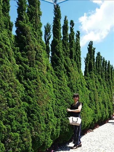 Hoa –
Sẽ tìm hiểu