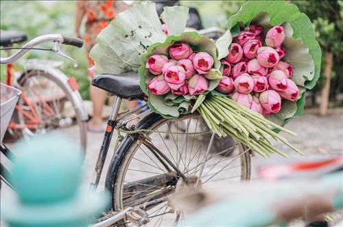 Quyên –
Muốn tìm một người bạn …..