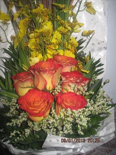 Hồng Thắm –
Vui tính, hoạt bát…        …..