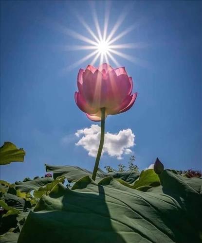 sunnylan8910 –
Bạn tốt