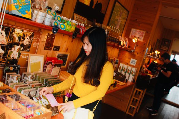 Hoa mặt trời – Giản dị,ít nói