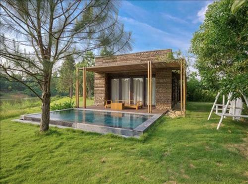 Điệu nhảy và Ánh mắt –
Một người đàn ông nghiêm…..