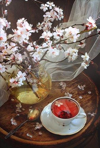 Gió Thu Tàn –
Hài hước