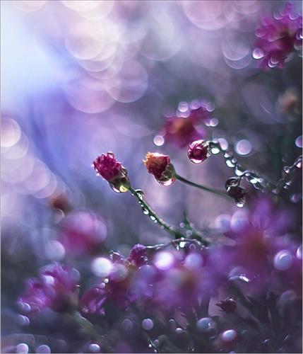 Nhã Uyên –
Một người hài hước và n…..