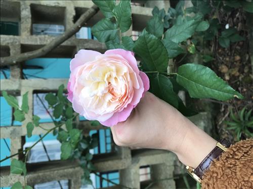 Binh –
Một người chân thành và t…..