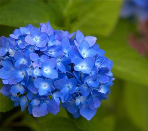 changcogilakhongth321@gmail.com –
Muon tim mot nguoi dan ong that t…..