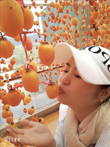 Chi**chi –
Vui ve hoat bat