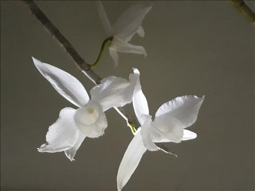 NGÀY NẮNG  –
phù hợp