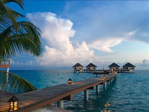 Dang Dao –
Vui vẻ, đồng cảm :)Là IT …..