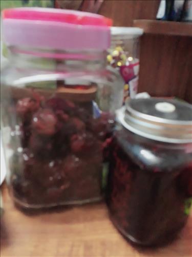 Kim Dung –
Vui vẻ có thể cùng luyên t…..