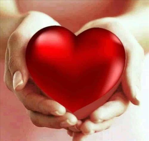 Tìm bạn đời –
Thật lòng tìm bạn đời   …..