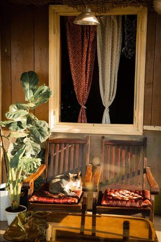 Old woman –
Đàn ông mạnh mẽ, bản lĩ…..