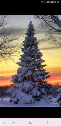 Nhung Le –
Nghiem tuc va lau dai chung thuy …..