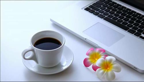 hoa bằng lăng –
hãy gọi khi a muốn Vui lòng…..