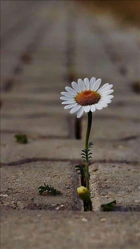 Jessica Lee –
Biết quan tâm chia sẻ vui bu…..