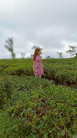 Cỏ đuôi gà – Một người yêu cuộc sống, …..êu mới.