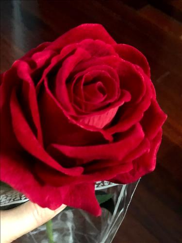 No name… –
Tri kỉ…