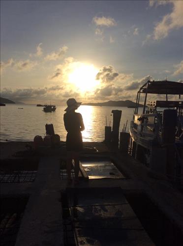 song phúc –
người cùng sở thích, lớn…..