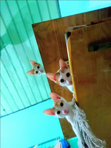 Ngoan Đồng –
Người ấy hãy là bạn cùn…..