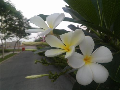 Ngocnga  –
Hoà đồng,  lắng nghe và ch…..