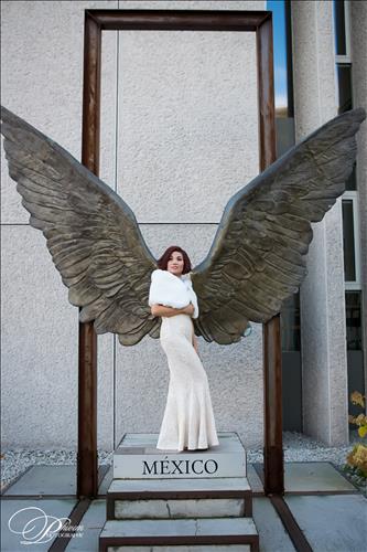 Hoa Bất Tử  –
Cùng  đồng cảnh,  biết qu…..