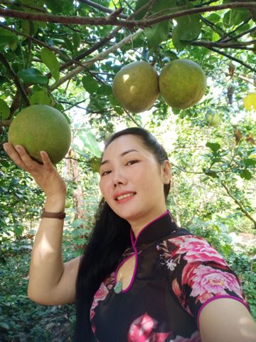 Con gái bến tre – Vv hoa đồng thích giúp đỡ n…..ình cảm