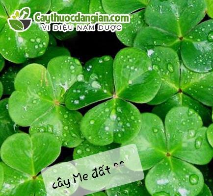 Gái hai con –
Tìm bạn đồng hành dài lâ…..