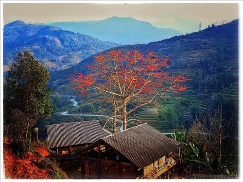 Mưa mùa hạ –
Giống như tôi