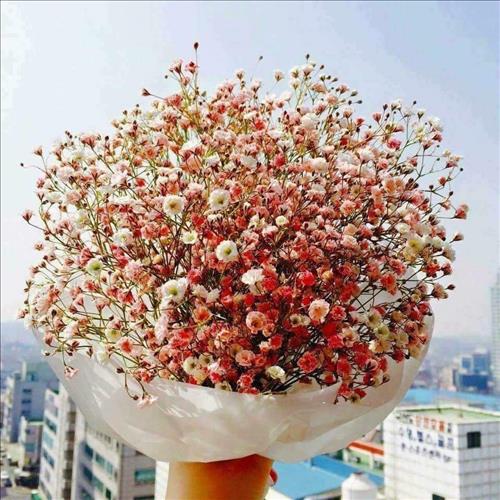 Thuy –
Nghiêm túc, chân thành, có t…..