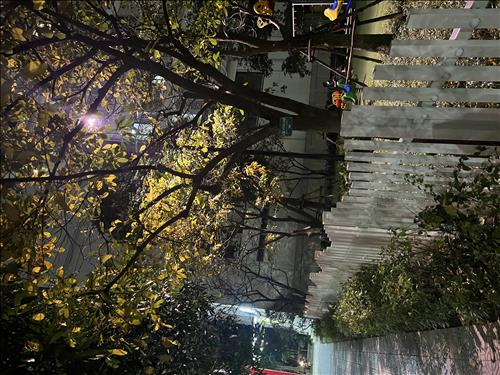 Hong –
độc thân, có tri thức, đi…..